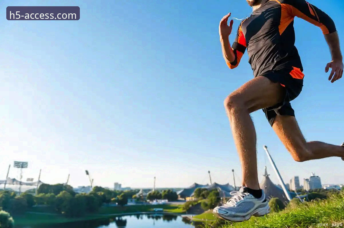 新手必看：资深用户分享开云体育入口的详细使用心得与安全指南